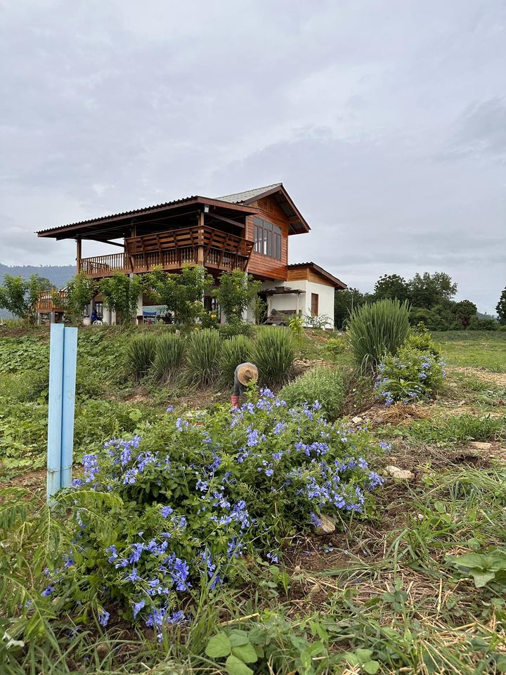 บ้านสวนพิมพ์สุข บ้านไม้สองชั้นใต้ถุนสูง ในบรรยากาศสุดสงบ แวดล้อมด้วยธรรมชาติของทิวเขาเนินมะปราง ในจังหวัดพิษณุโลก รูปที่ 10