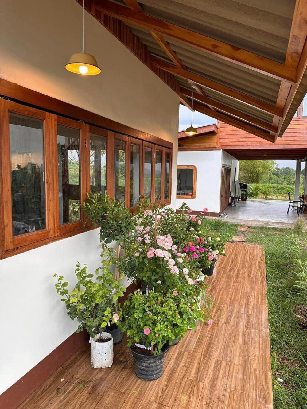 บ้านสวนพิมพ์สุข บ้านไม้สองชั้นใต้ถุนสูง ในบรรยากาศสุดสงบ แวดล้อมด้วยธรรมชาติของทิวเขาเนินมะปราง ในจังหวัดพิษณุโลก รูปที่ 7