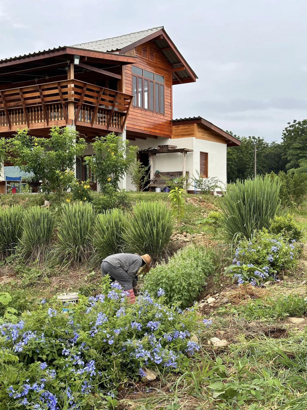 บ้านสวนพิมพ์สุข บ้านไม้สองชั้นใต้ถุนสูง ในบรรยากาศสุดสงบ แวดล้อมด้วยธรรมชาติของทิวเขาเนินมะปราง ในจังหวัดพิษณุโลก รูปที่ 9