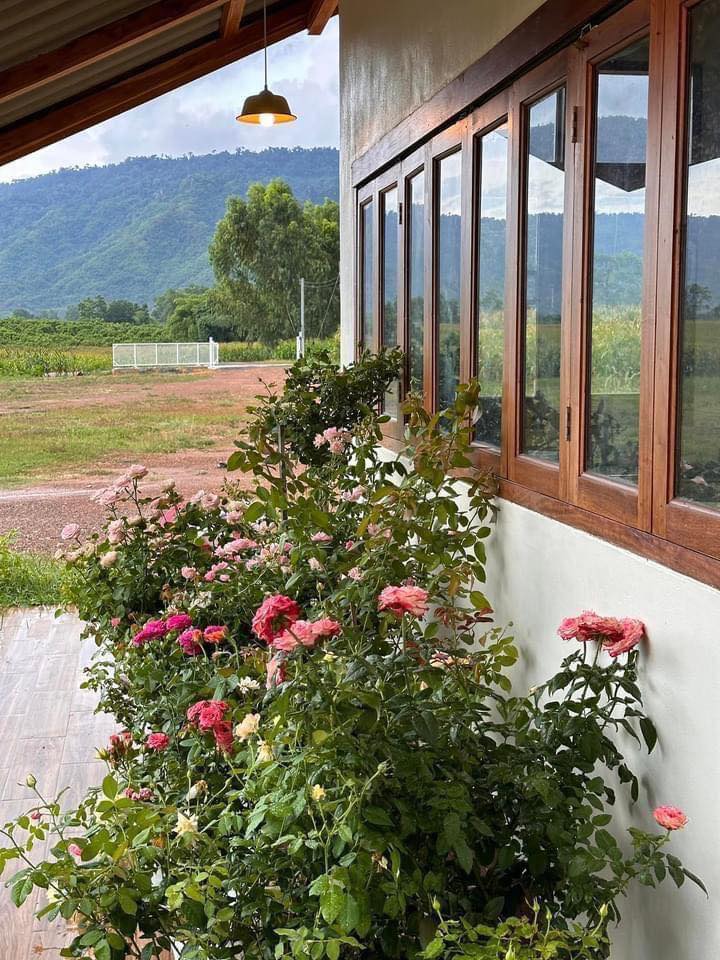 บ้านสวนพิมพ์สุข บ้านไม้สองชั้นใต้ถุนสูง ในบรรยากาศสุดสงบ แวดล้อมด้วยธรรมชาติของทิวเขาเนินมะปราง ในจังหวัดพิษณุโลก รูปที่ 21