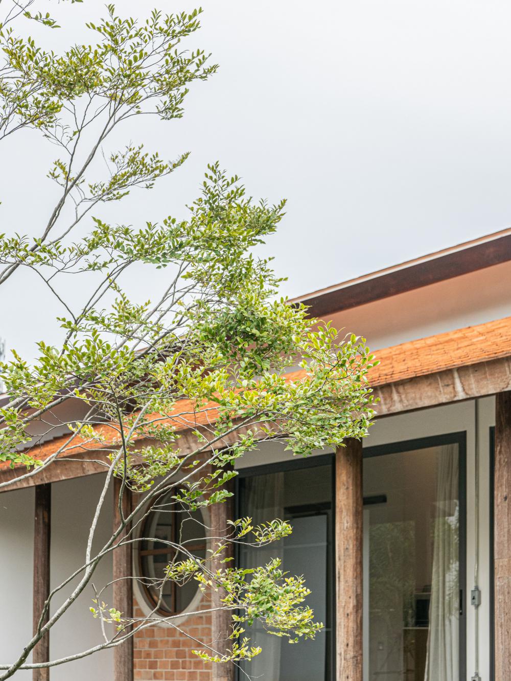 ไอเดียบ้านสไตล์ญี่ปุ่นมินิมอลอบอุ่นละมุนจัดสวนได้ลงตัว รูปที่ 8