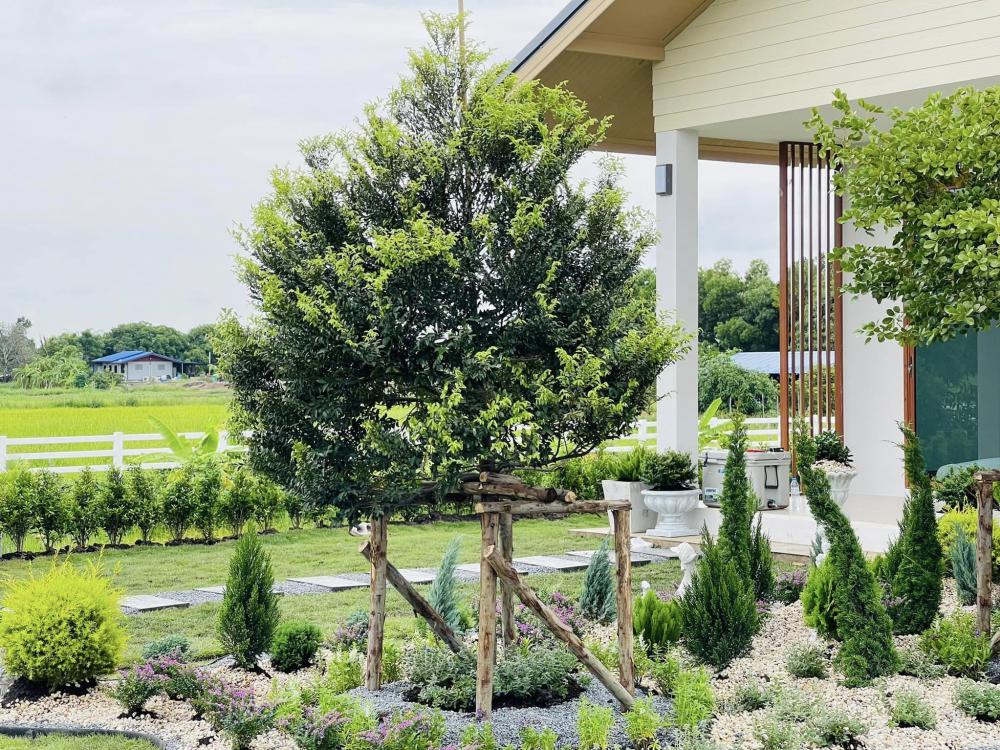 ไอเดียบ้านสวนสวย รูปที่ 20