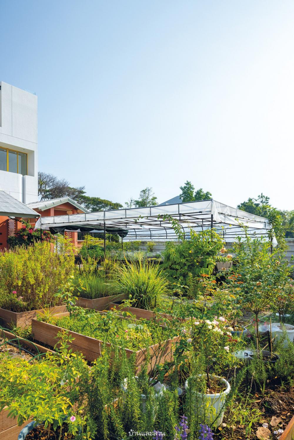 ไอเดียบ้านและสวน แต่งบ้านและแต่งสวน รูปที่ 10