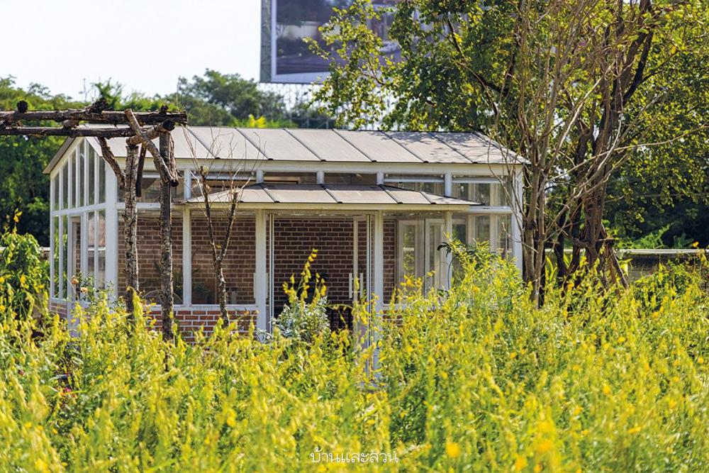 ไอเดียบ้านและสวน แต่งบ้านและแต่งสวน รูปที่ 12