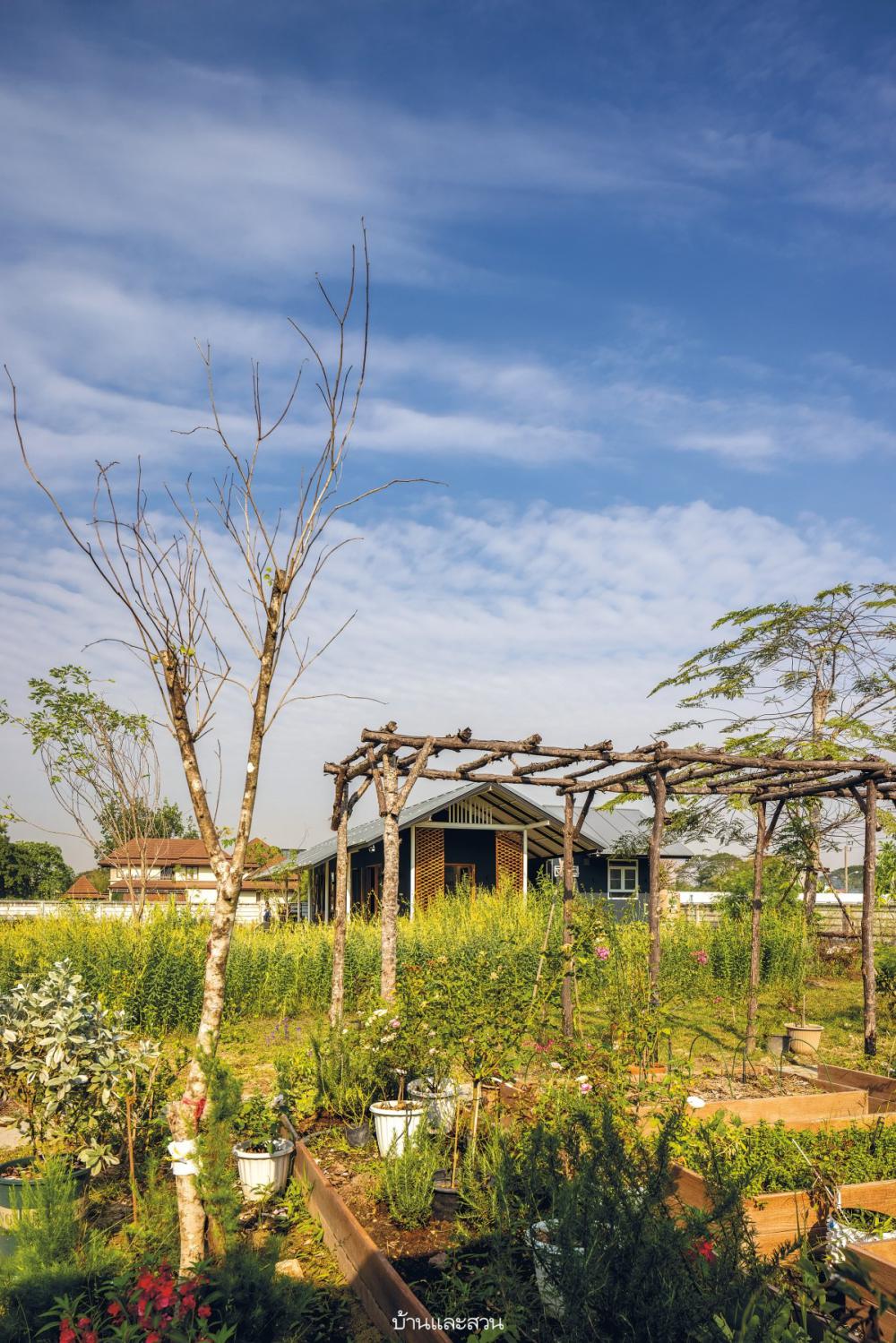 ไอเดียบ้านและสวน แต่งบ้านและแต่งสวน รูปที่ 15