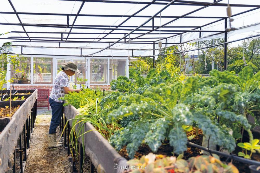 ไอเดียบ้านและสวน แต่งบ้านและแต่งสวน รูปที่ 19