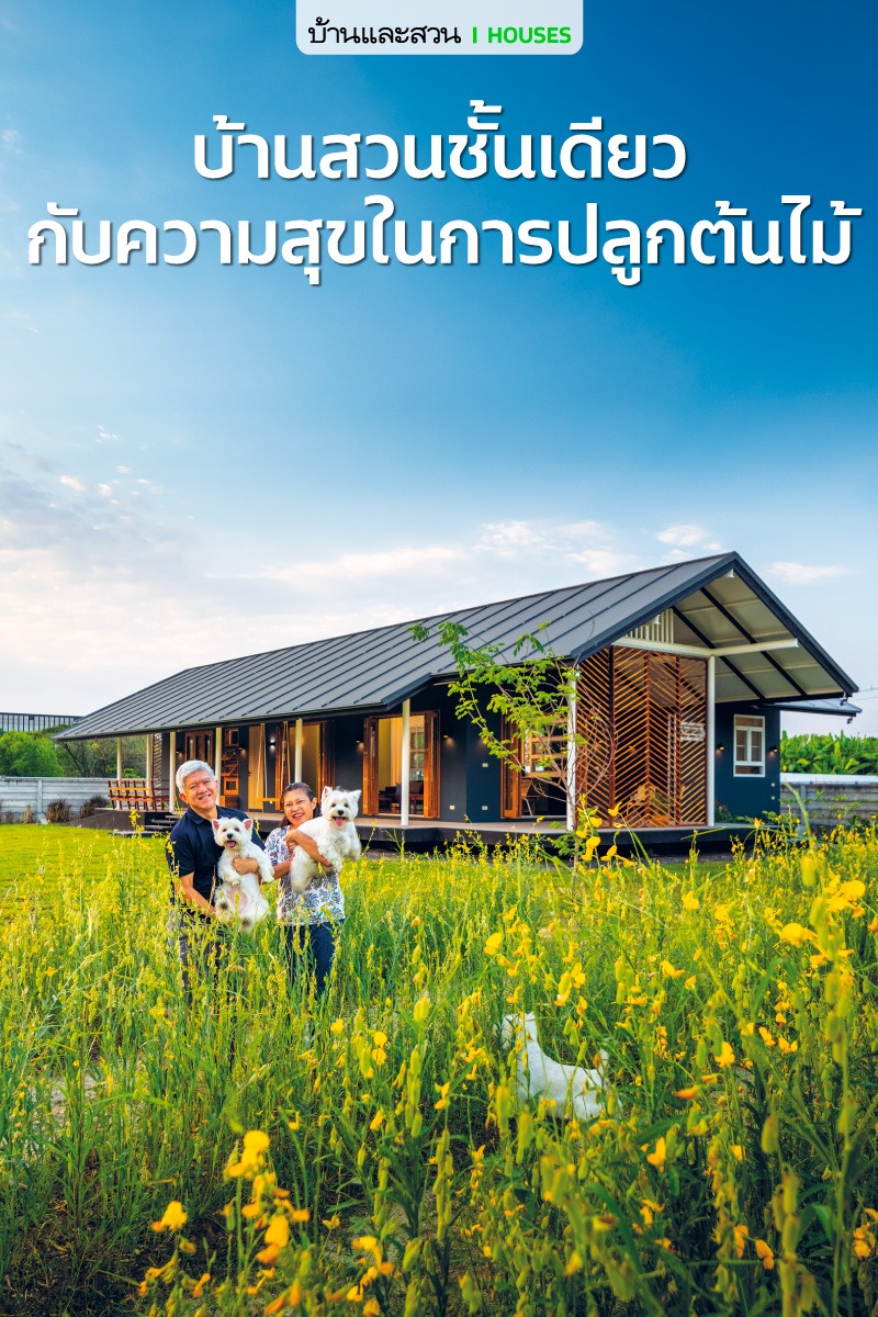 ไอเดียบ้านและสวน แต่งบ้านและแต่งสวน รูปที่ 4