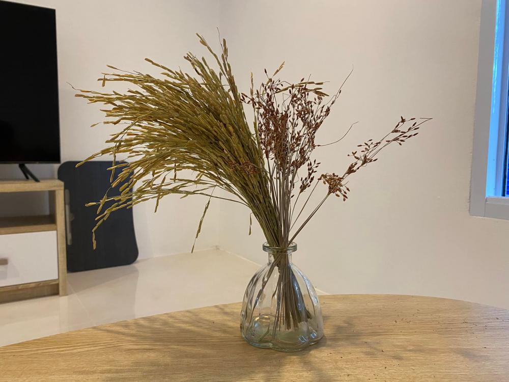 บ้านมินิมอลทรงจั่ว บ้านกะทิ [งบ4เเสน ค่าเเรง+ค่าของ] รูปที่ 12