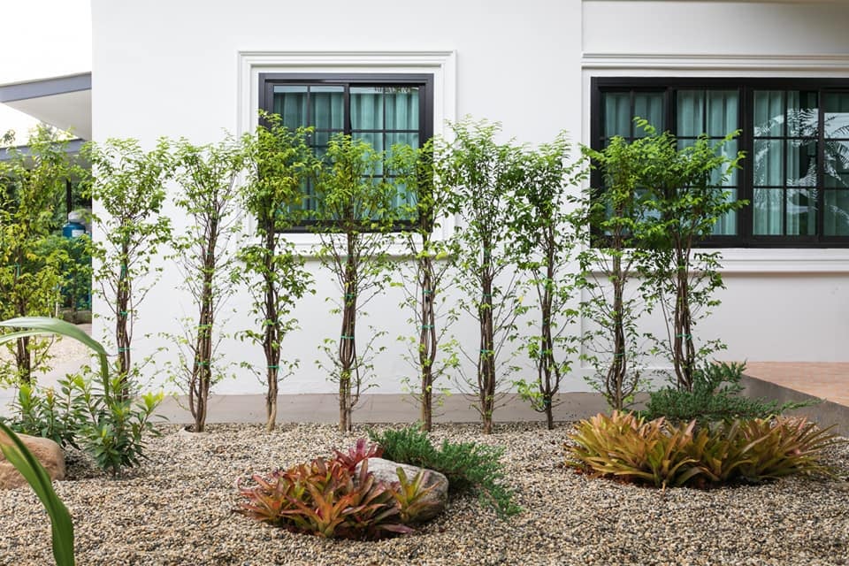 บ้านสไตล์โมเดิร์นชั้นเดียวสวยน่ารักมากๆ รูปที่ 12