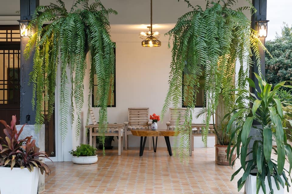 บ้านสไตล์โมเดิร์นชั้นเดียวสวยน่ารักมากๆ รูปที่ 33