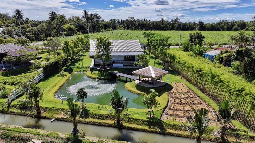 ไอเดียบ้านสวนในฝัน บ้านเดี่ยวขนาด 2 ห้องนอน 2 ห้องน้ำ และสวนบนเนื้อที่ 1 ไร่ รูปที่ 21