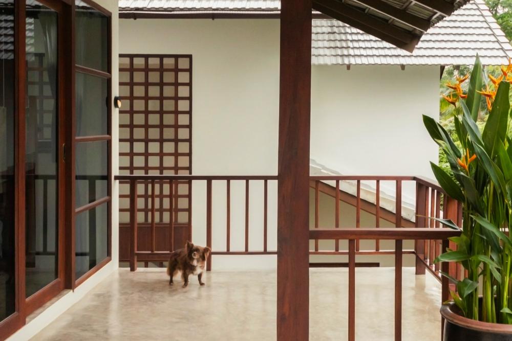 ไอเดียบ้านที่งานศิลปะและงานฝีมือมาบรรจบกัน นี่คือบ้านของนักออกแบบแฟชั่นที่มีความรักอย่างลึกซึ้งในการสะสมเฟอร์นิเจอร์วินเทจ รูปที่ 39