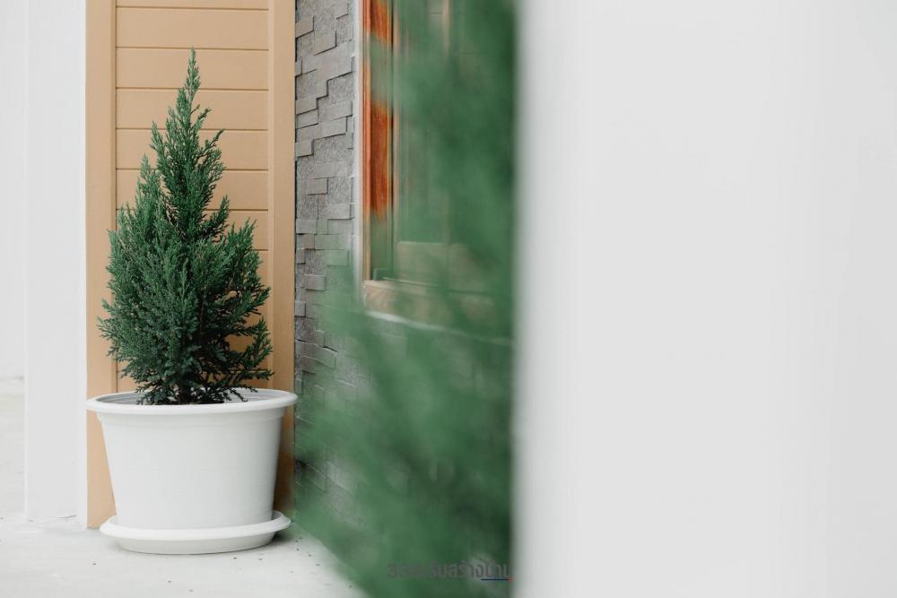 บ้านนอร์ดิกมินิมอล ขนาด 3 ห้องนอน 3 ห้องน้ำ 2 ที่จอดรถยต์ จัดสวนและทางเดือนเข้าบ้านได้สวยน่ารัก รูปที่ 22