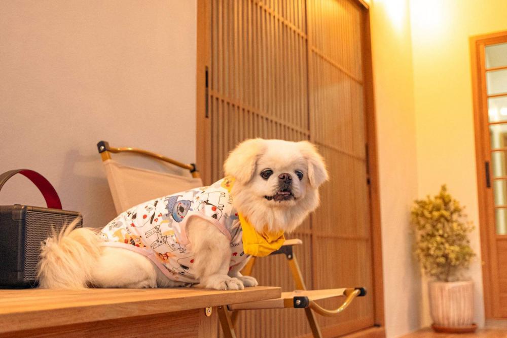 บ้านญี่ปุ่นมินิมอล JAPANESE HOUSE มีระเบียงข้างบ้าน ขนาด 3 ห้องนอน 3 ห้องน้ำ รูปที่ 10