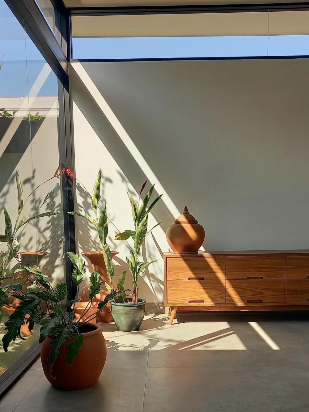 ไอเดียบ้านทรงกล่องสไตล์โมเดิร์นพร้อมจัดสวนปลูกต้นไม้ รูปที่ 11