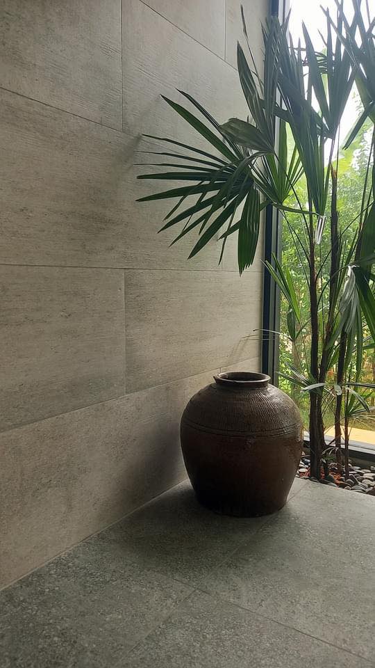 ไอเดียบ้านทรงกล่องสไตล์โมเดิร์นพร้อมจัดสวนปลูกต้นไม้ รูปที่ 16