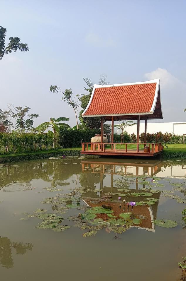 ไอเดียบ้านทรงกล่องสไตล์โมเดิร์นพร้อมจัดสวนปลูกต้นไม้ รูปที่ 29