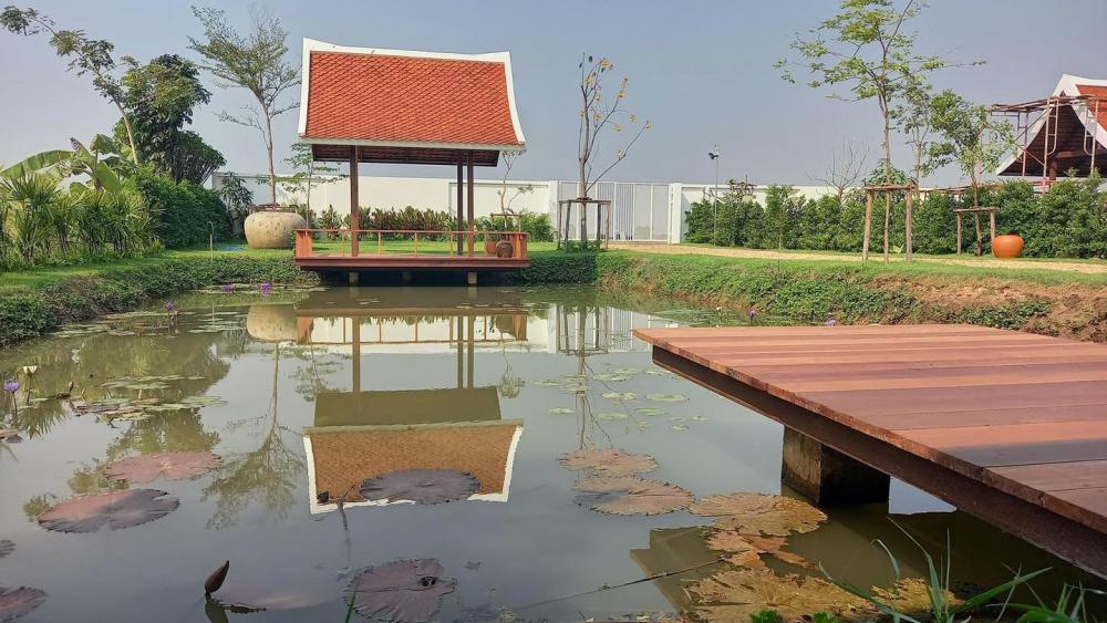 ไอเดียบ้านทรงกล่องสไตล์โมเดิร์นพร้อมจัดสวนปลูกต้นไม้ รูปที่ 6