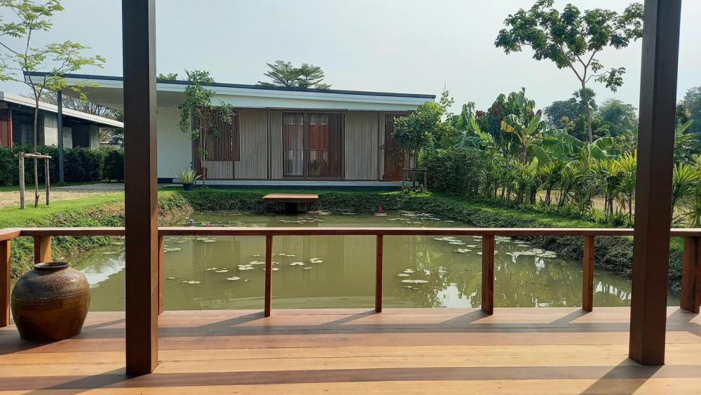 ไอเดียบ้านทรงกล่องสไตล์โมเดิร์นพร้อมจัดสวนปลูกต้นไม้ รูปที่ 9