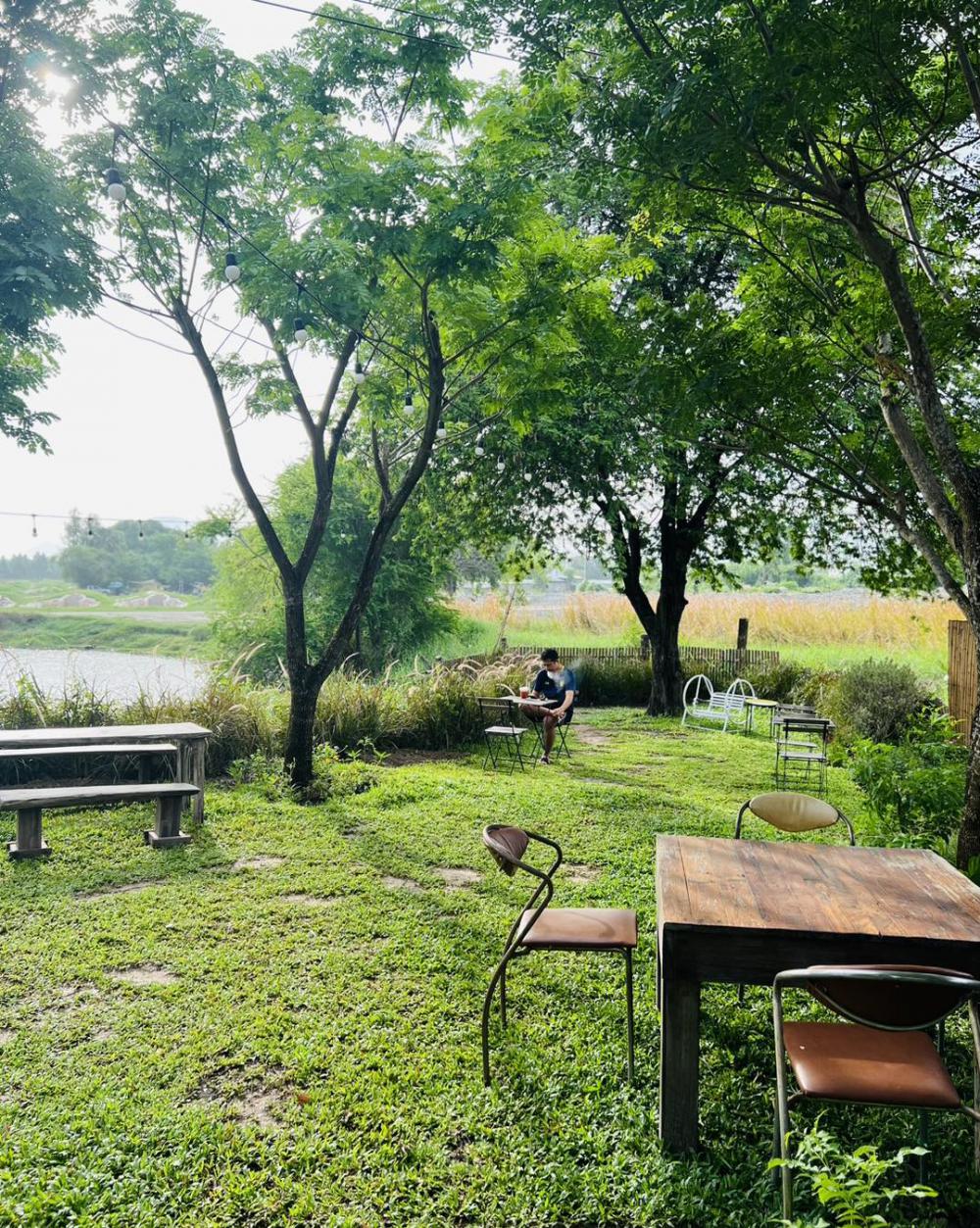 ไอเดียคาเฟ่ไม้สวยๆ รูปที่ 7