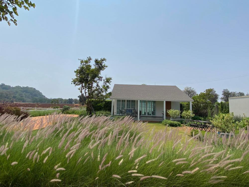 บ้านสวยสวนสวยปลูกต้นไม้ดอกไม้ผักผลไม้จัดที่นั่งเล่นได้น่ารัก รูปที่ 10