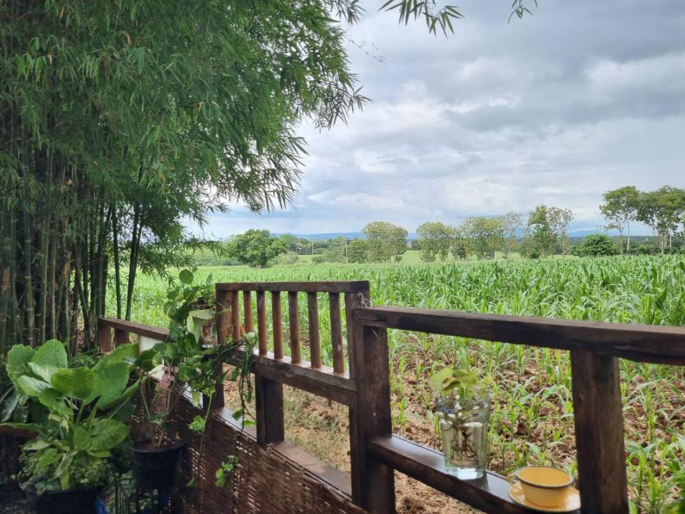 ไอเดียบ้านไม้สวยหลังเล็ก รูปที่ 11