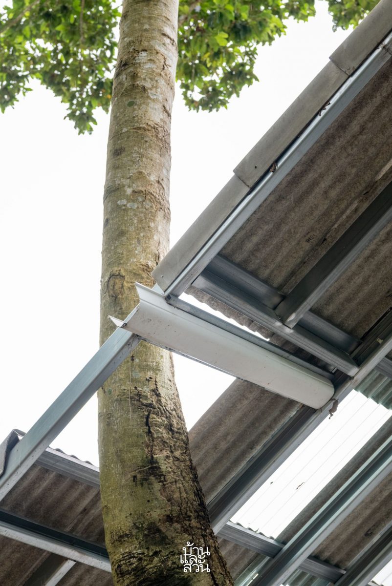 ไอเดียบ้านคอนเทนเนอร์สวยกลางป่า รูปที่ 15