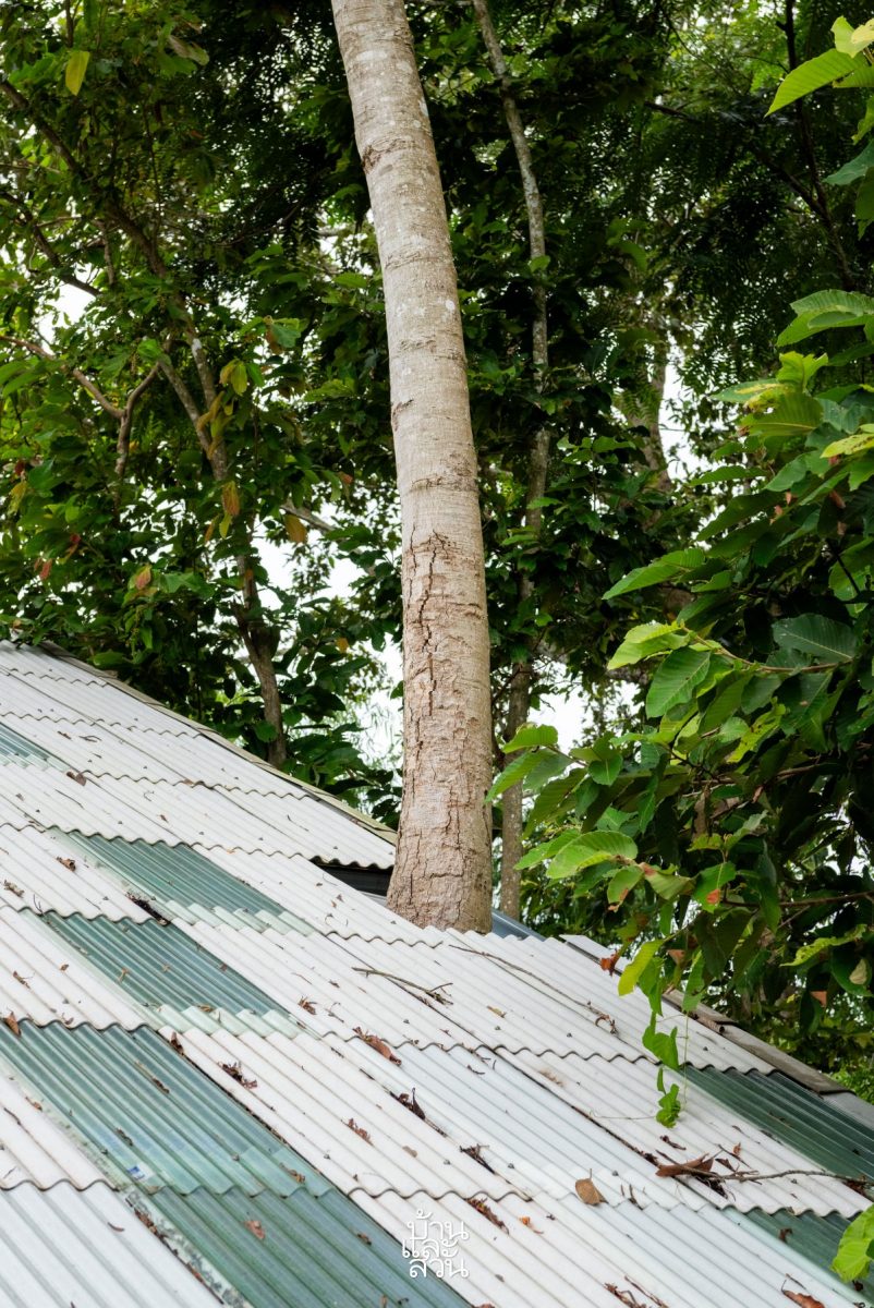 ไอเดียบ้านคอนเทนเนอร์สวยกลางป่า รูปที่ 16