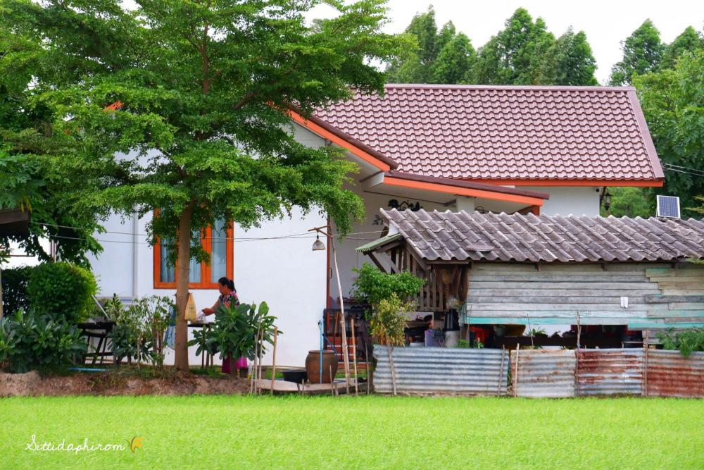 ไอเดียบ้านสวยริมทุ่ง มินิมอลอบอุ่น รูปที่ 14