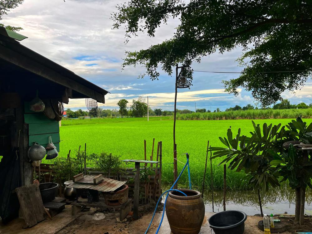 ไอเดียบ้านสวยริมทุ่ง มินิมอลอบอุ่น รูปที่ 16