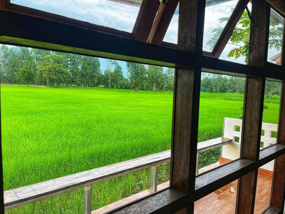 ไอเดียบ้านสวยริมทุ่ง มินิมอลอบอุ่น รูปที่ 20