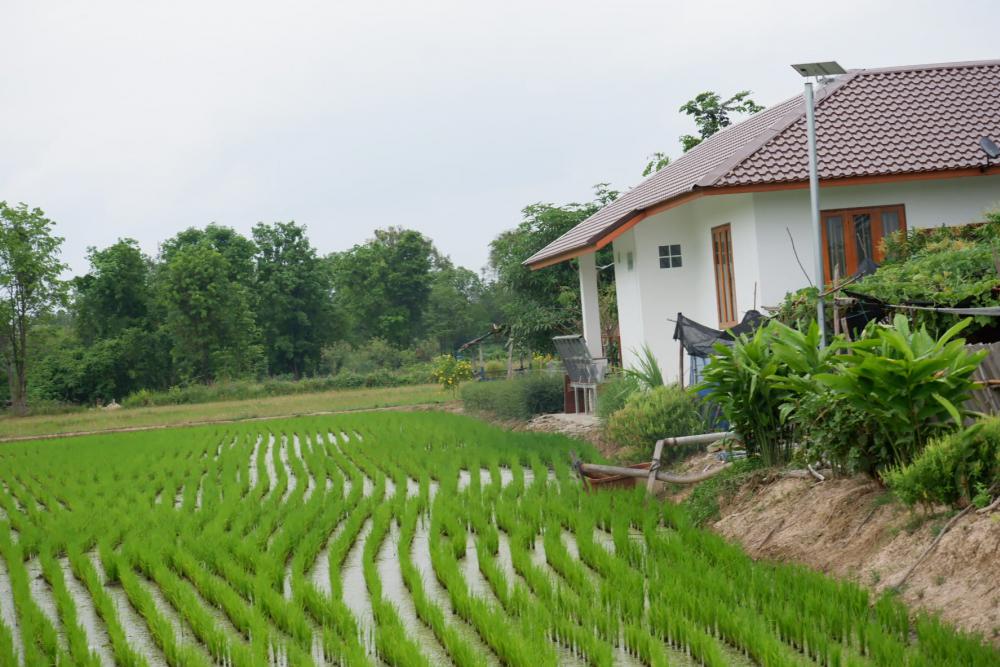 ไอเดียบ้านสวยริมทุ่ง มินิมอลอบอุ่น รูปที่ 5