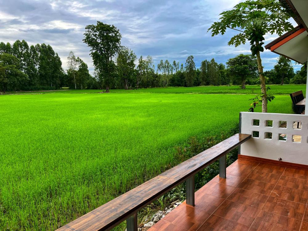 ไอเดียบ้านสวยริมทุ่ง มินิมอลอบอุ่น รูปที่ 6