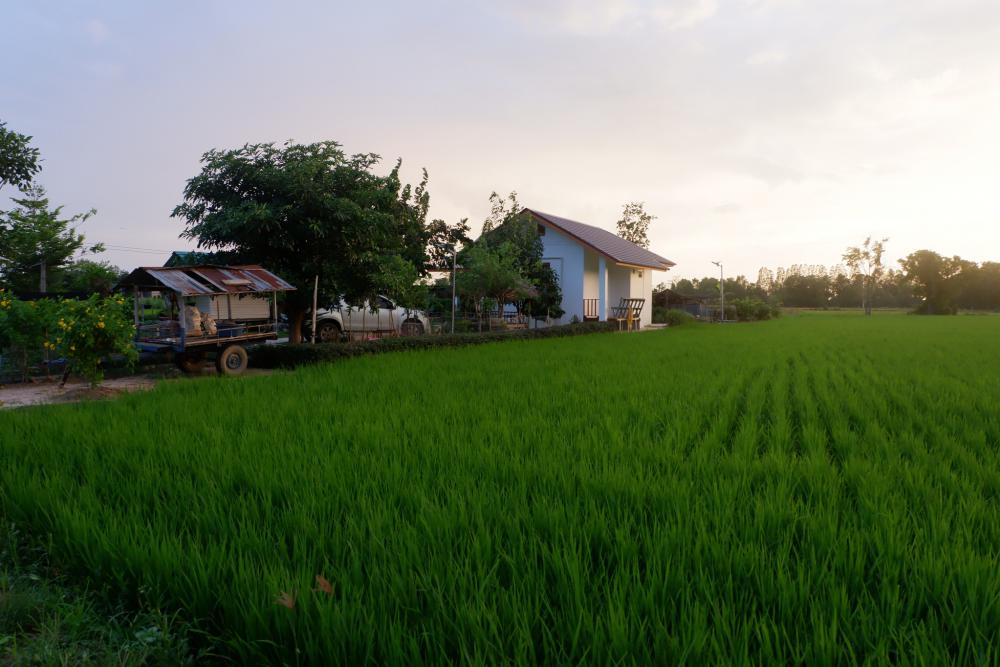 ไอเดียบ้านสวยริมทุ่ง มินิมอลอบอุ่น รูปที่ 9