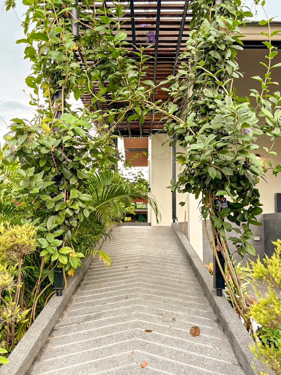 ไอเดียบ้านยกใต้ถุนสูง เพิ่มทางลาดเอียงที่ยาวต่อเนื่องตั้งแต่ที่จอดรถจนถึงด้านในบ้าน รูปที่ 18