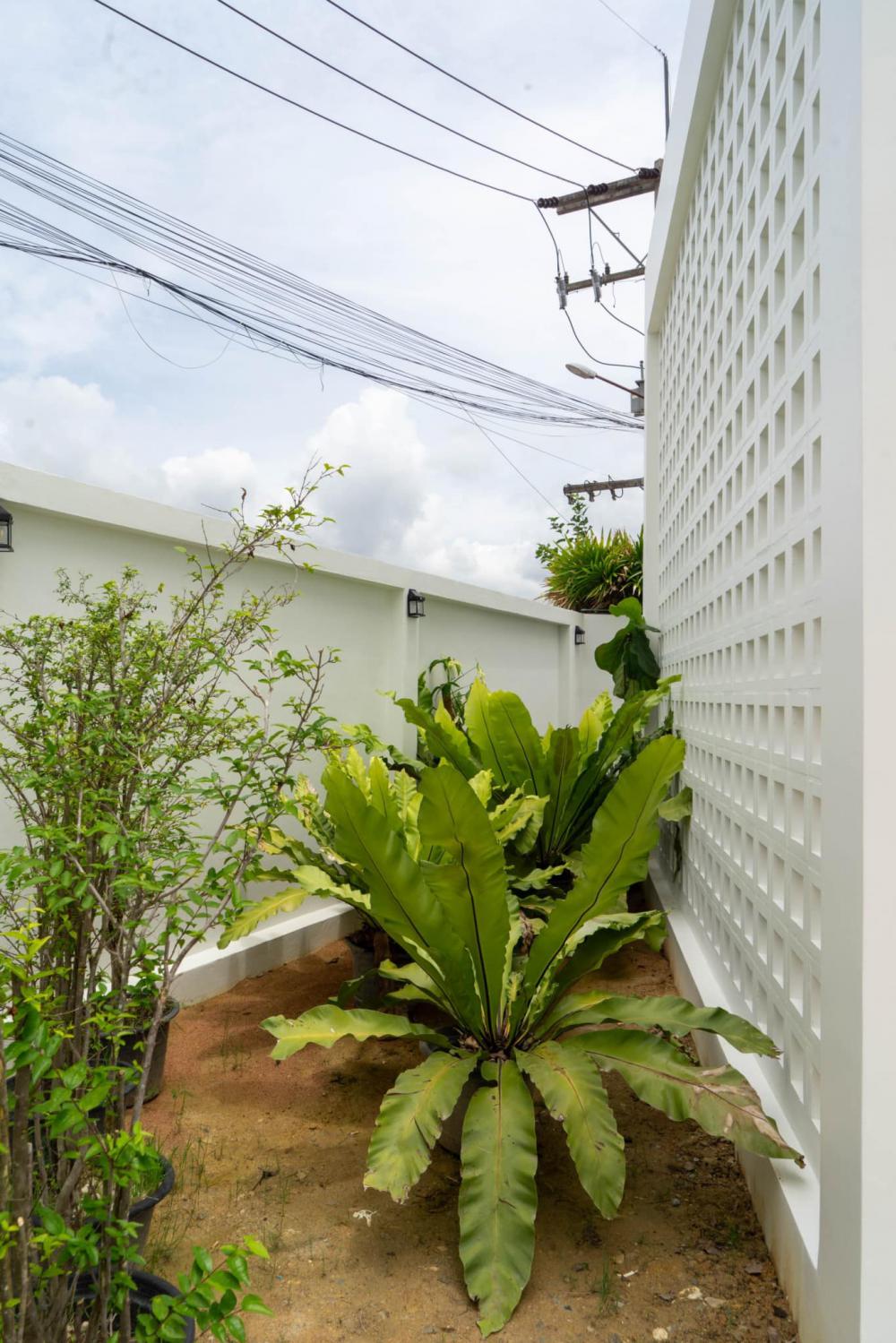 บ้านชั้นเดียวโมเดิร์น รูปทรงกล่อง ขนาด 3 ห้องนอน 2 ห้องน้ำ ตกแต่งในสไตล์โทนสีขาว มินิมอล ที่เน้นความเรียบง่าย รูปที่ 5