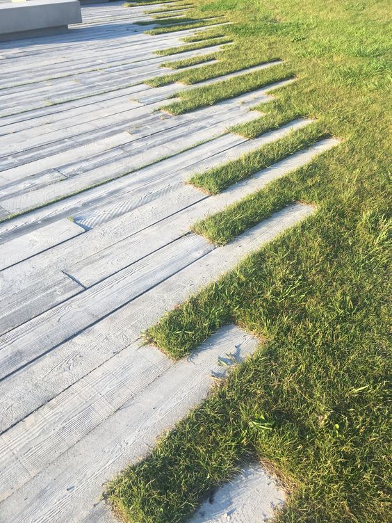 20 ไอเดียทางเดินข้างบ้านสวยๆ รูปที่ 12