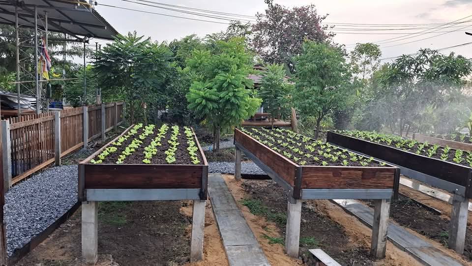 ไอเดียแปลงผักสวยๆ รูปที่ 12