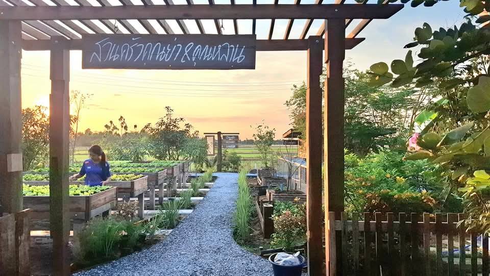 ไอเดียแปลงผักสวยๆ รูปที่ 4