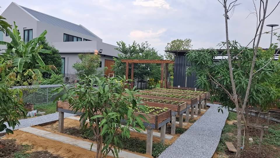 ไอเดียแปลงผักสวยๆ รูปที่ 6