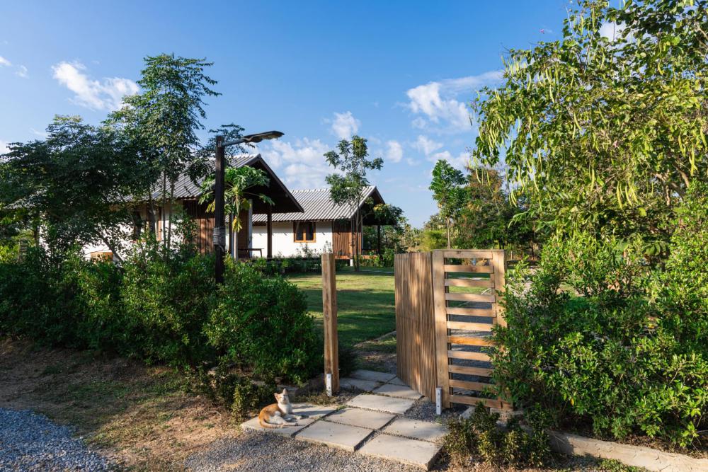 ไอเดียคาเฟ่และโฮมสเตย์ บ้านมัดใจโฮมสเตย์ รูปที่ 16