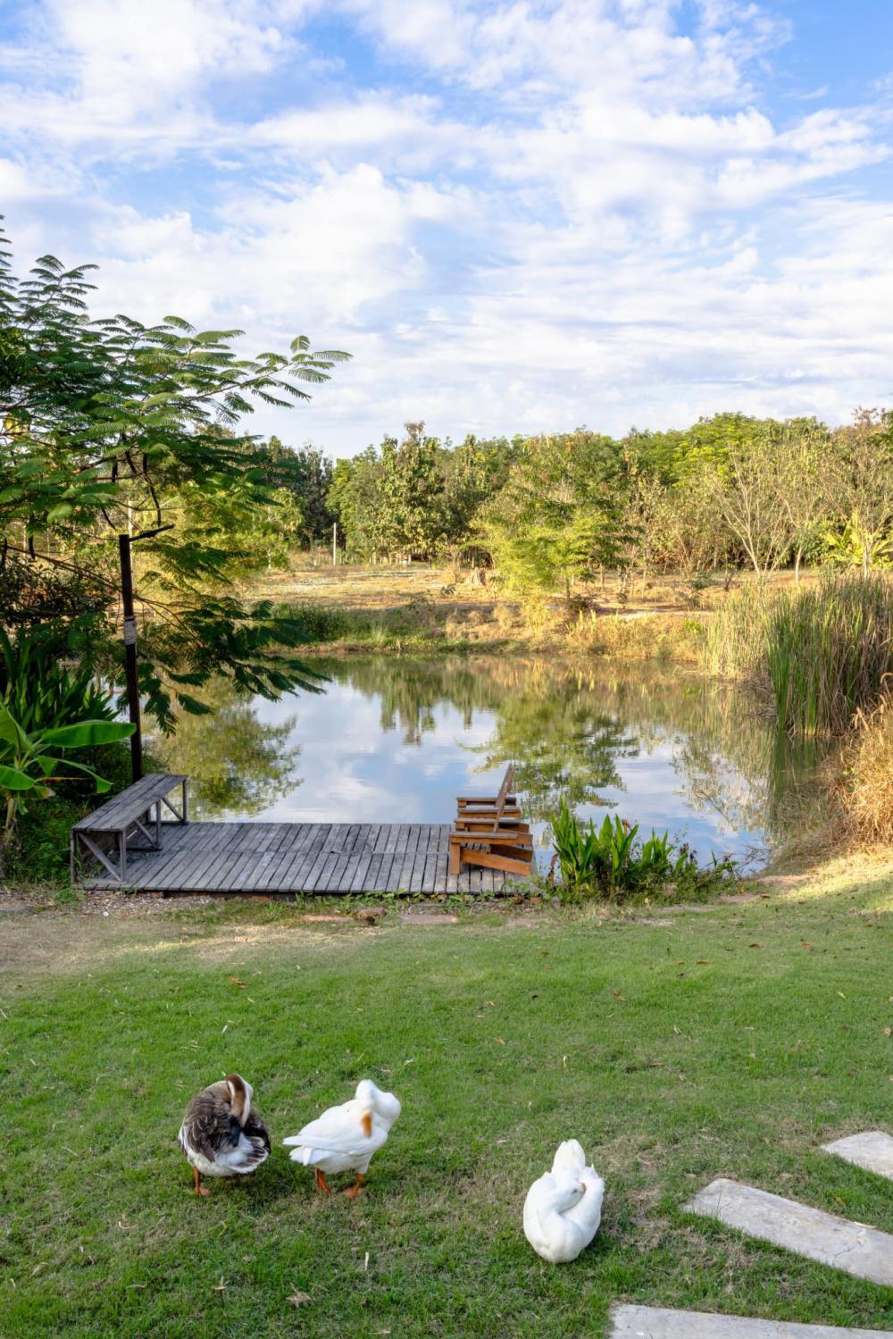 ไอเดียคาเฟ่และโฮมสเตย์ บ้านมัดใจโฮมสเตย์ รูปที่ 19