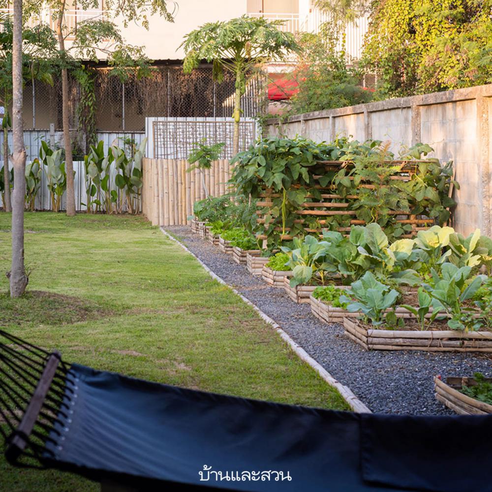 ไอเดียบ้านไทยประยุกต์ผสมผสานกลิ่นอายสมัยเก่ากับสมัยใหม่ได้ลงตัว รูปที่ 16