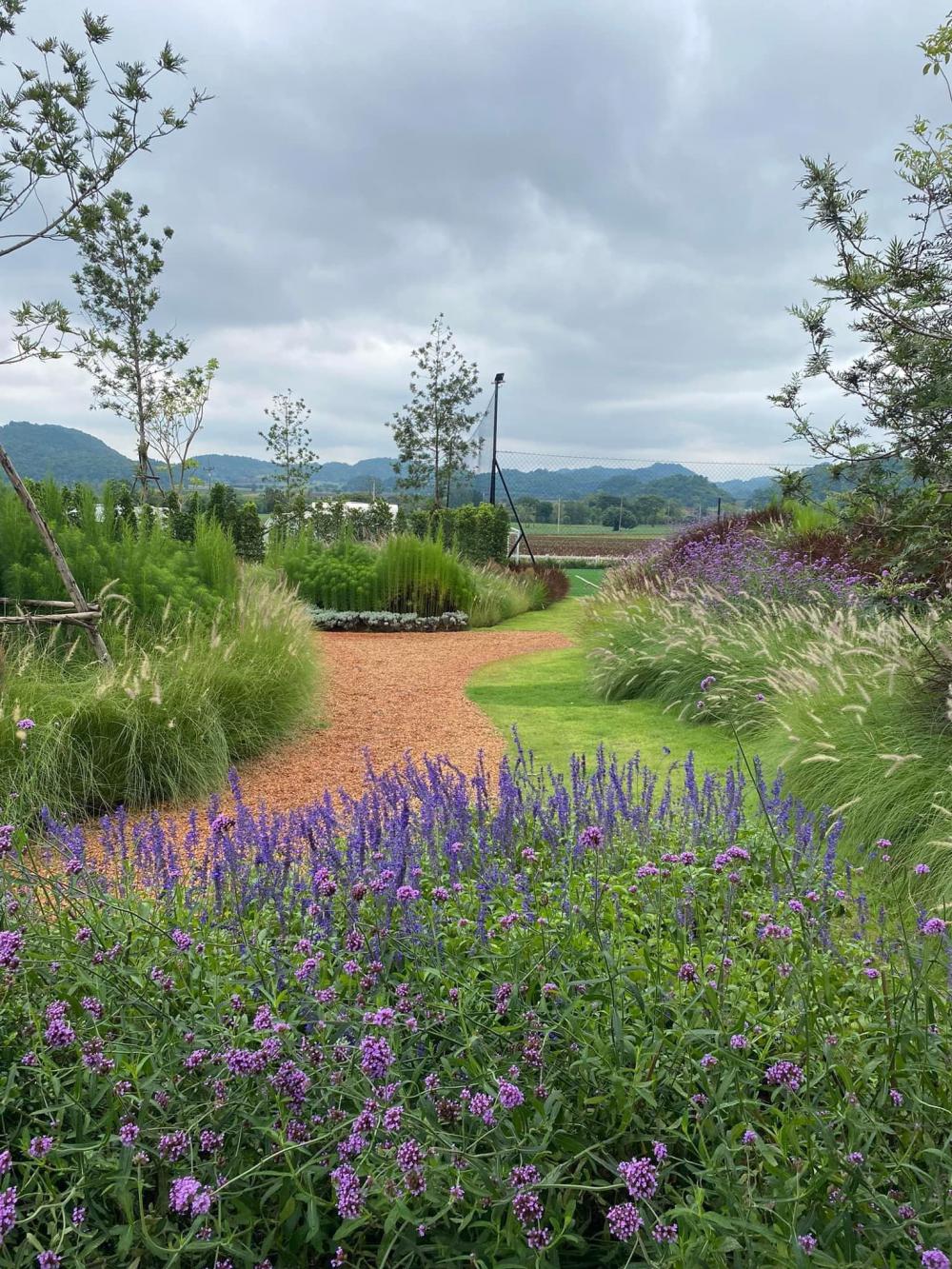 ไอเดียบ้านสวยวิวเขา รูปที่ 12