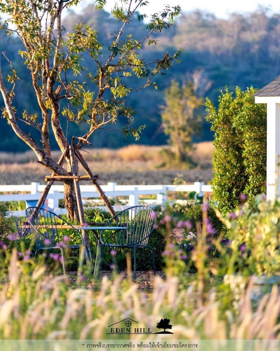 ไอเดียบ้านสวยวิวเขา รูปที่ 14