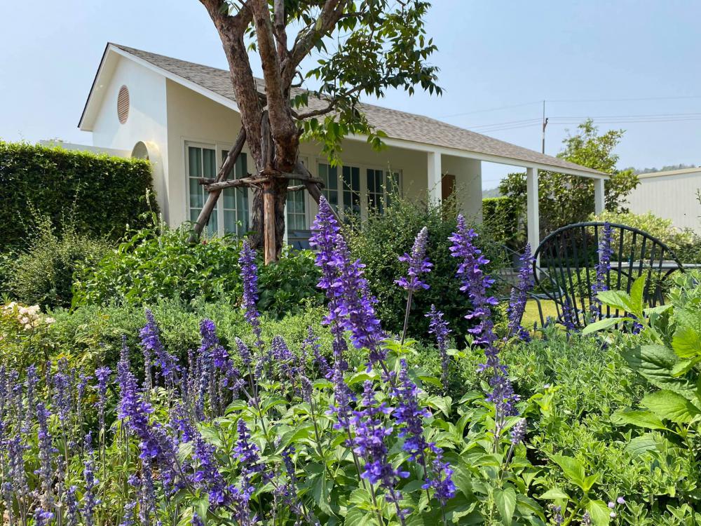 ไอเดียบ้านสวยวิวเขา รูปที่ 8