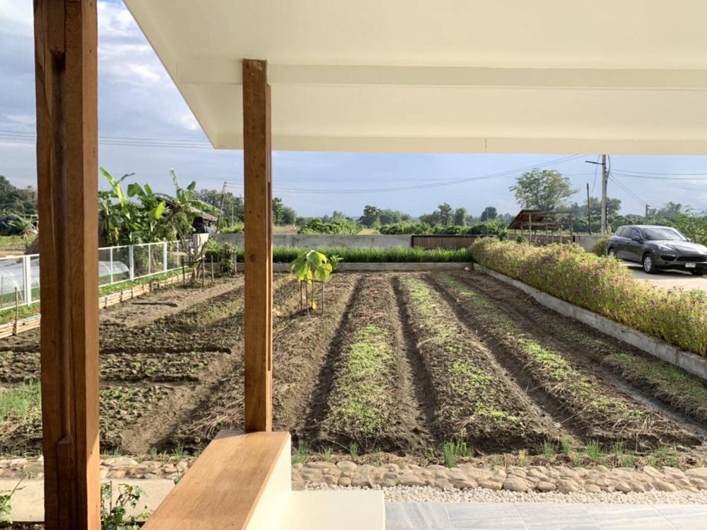 ไอเดียบ้านสวนสวยน่ารัก บ้านสวนมินิมอล รูปที่ 24