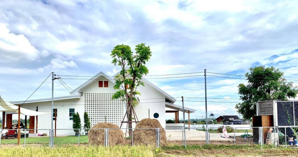 ไอเดียบ้านสวนสวยน่ารัก บ้านสวนมินิมอล รูปที่ 7