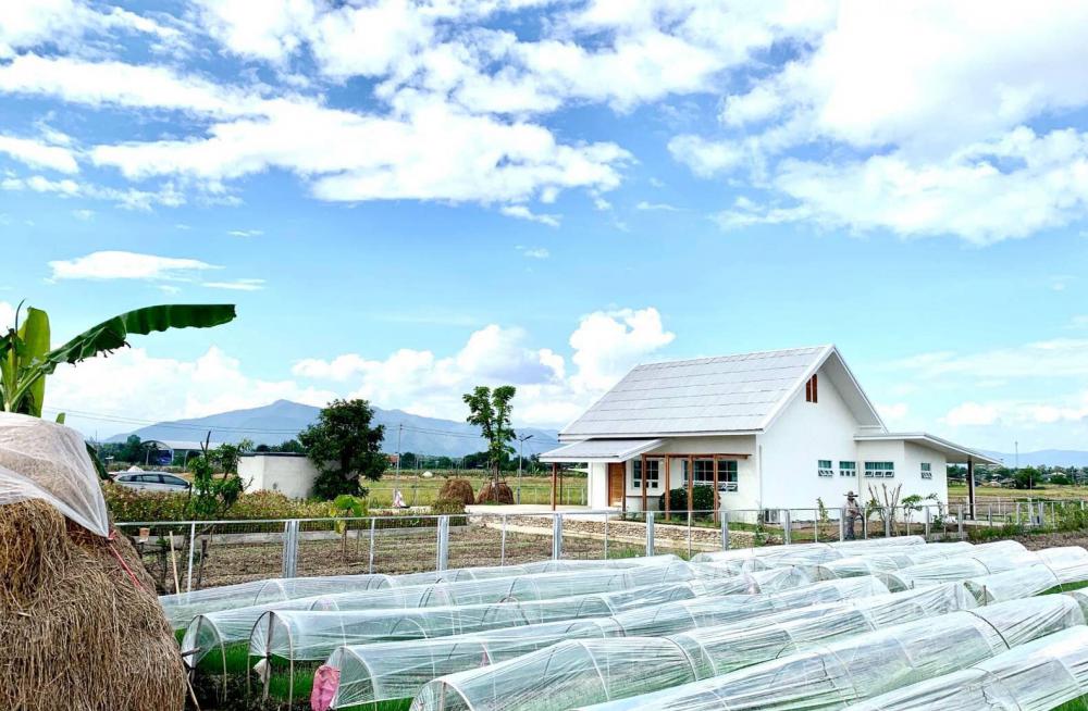 ไอเดียบ้านสวนสวยน่ารัก บ้านสวนมินิมอล รูปที่ 8