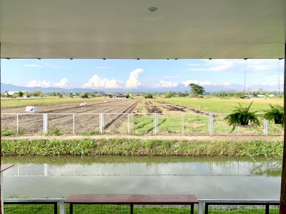 ไอเดียบ้านสวนสวยน่ารัก บ้านสวนมินิมอล รูปที่ 32